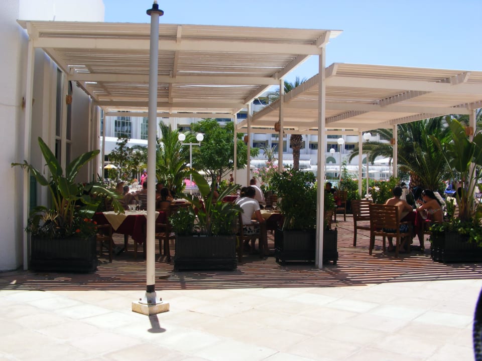 Die Poolbar El Mouradi Hammamet