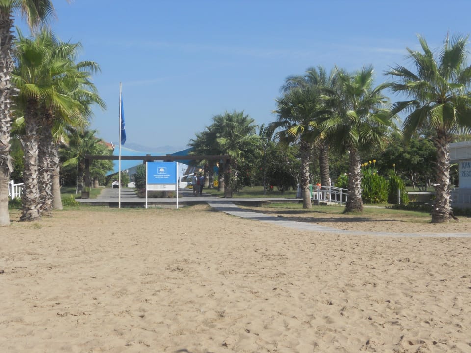 Strand TUI BLUE Xanthe