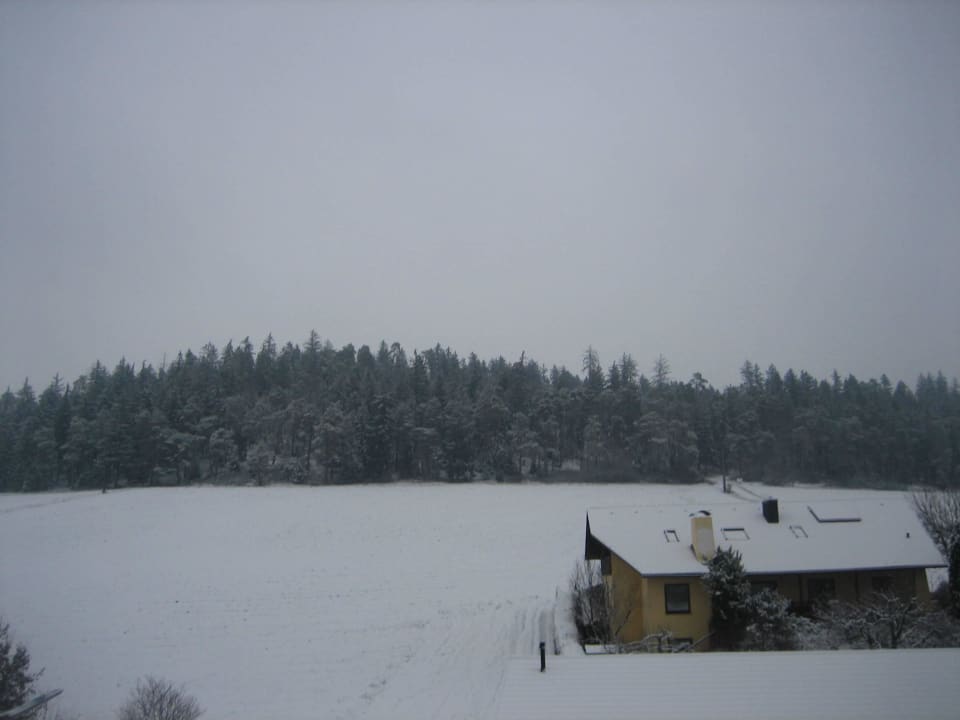 Endlich Winter Hotel Dirsch Wellness & Spa Resort