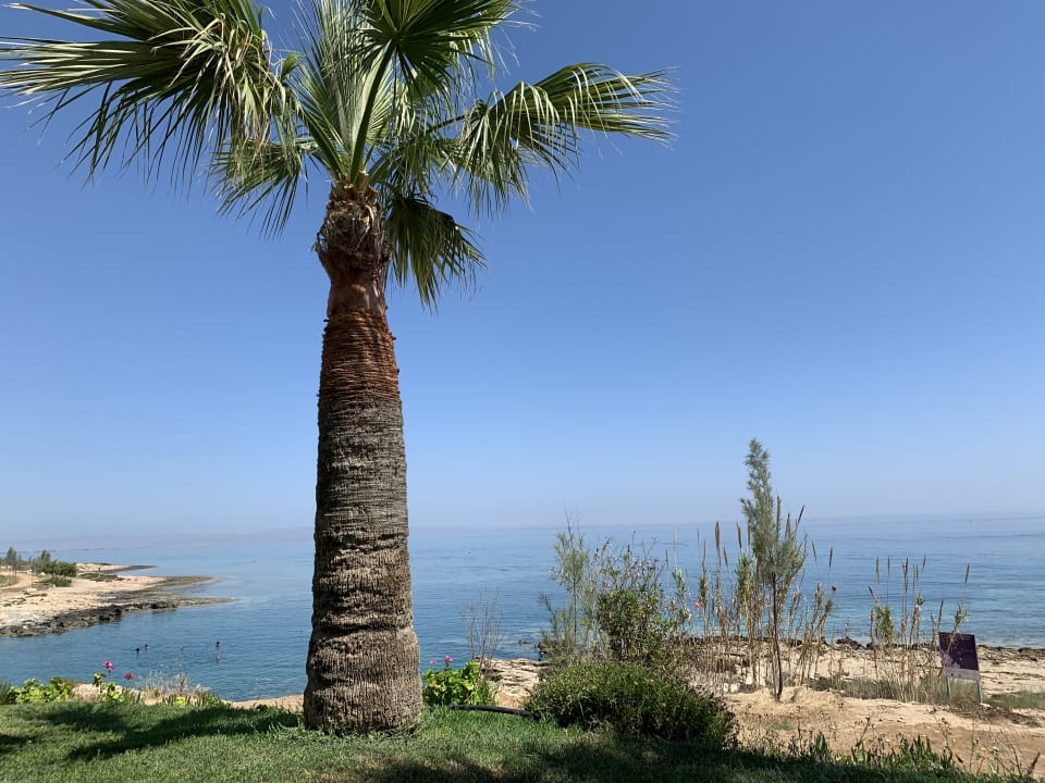 Ausblick Crystal Springs Beach Hotel