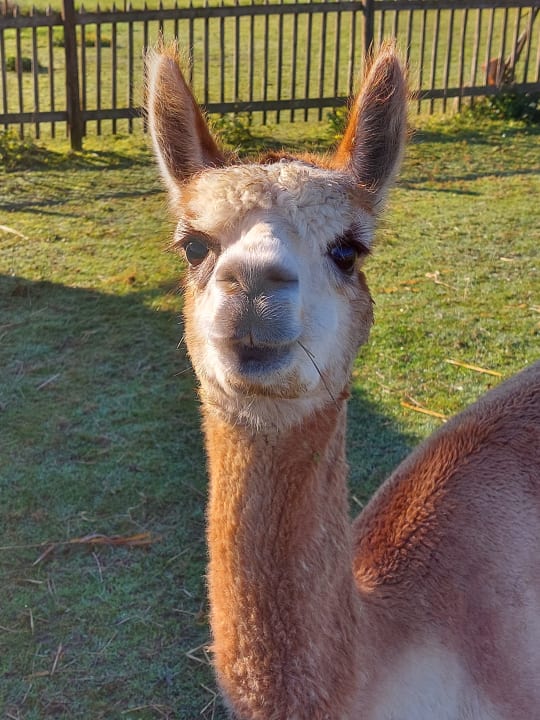 Sonstiges Familotel Der Böhmerwald - Euer Familienhotel im Bayerischen Wald
