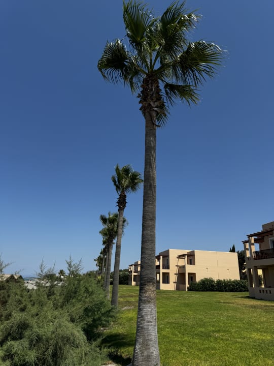 Außenansicht Hotel Horizon Beach Resort