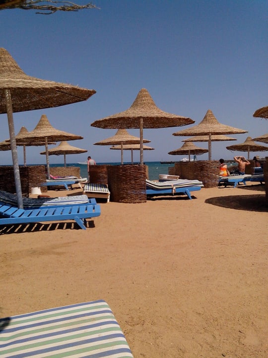 На пляже Ali Baba Palace Resort