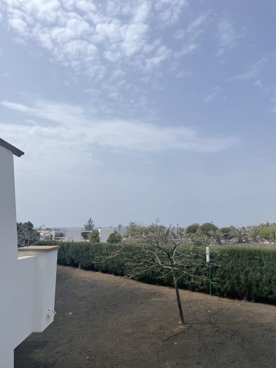 Zimmer allsun App.-Hotel Albatros