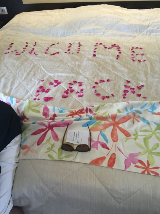 Zimmer TUI BLUE Oceanis Beach and Spa Resort