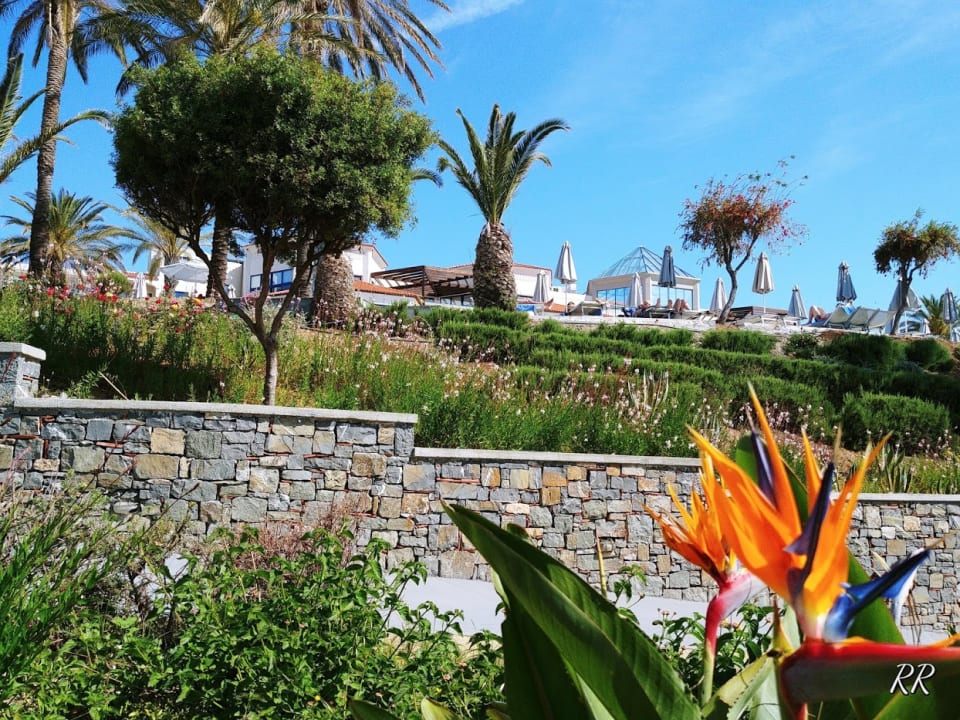 Gartenanlage Rodos Princess Beach Hotel & Spa