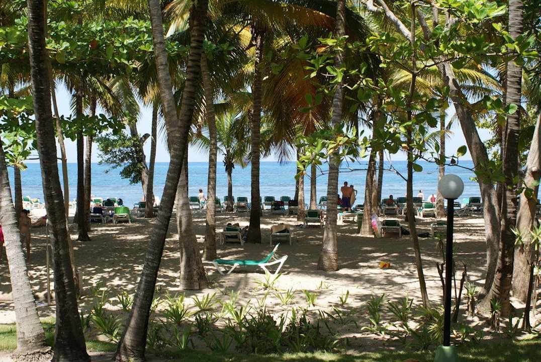 Palmenstrand Playabachata Hotel