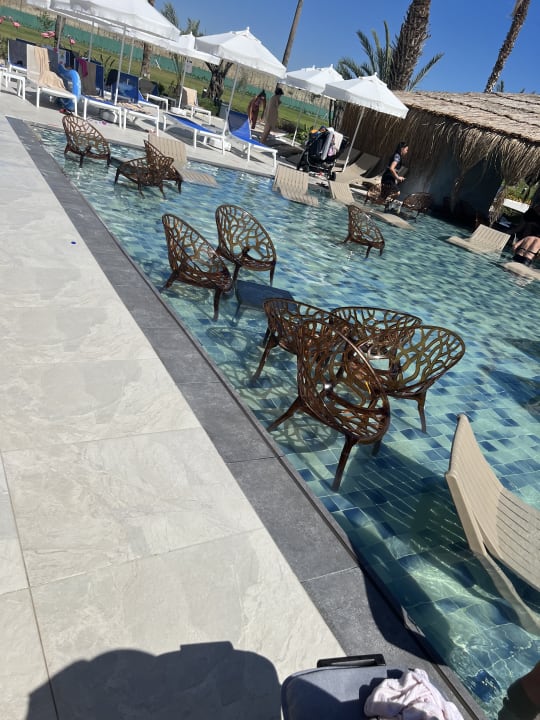 Gastro Dream Water World