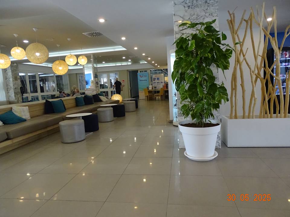 Lobby BQ Delfin Azul Hotel