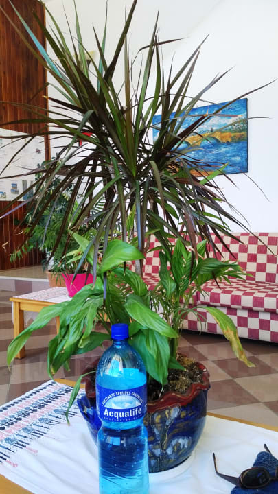 Lobby Hotel Melissa