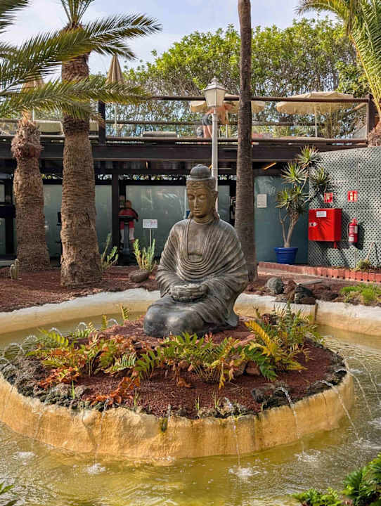 Gartenanlage Hotel Parque Tropical