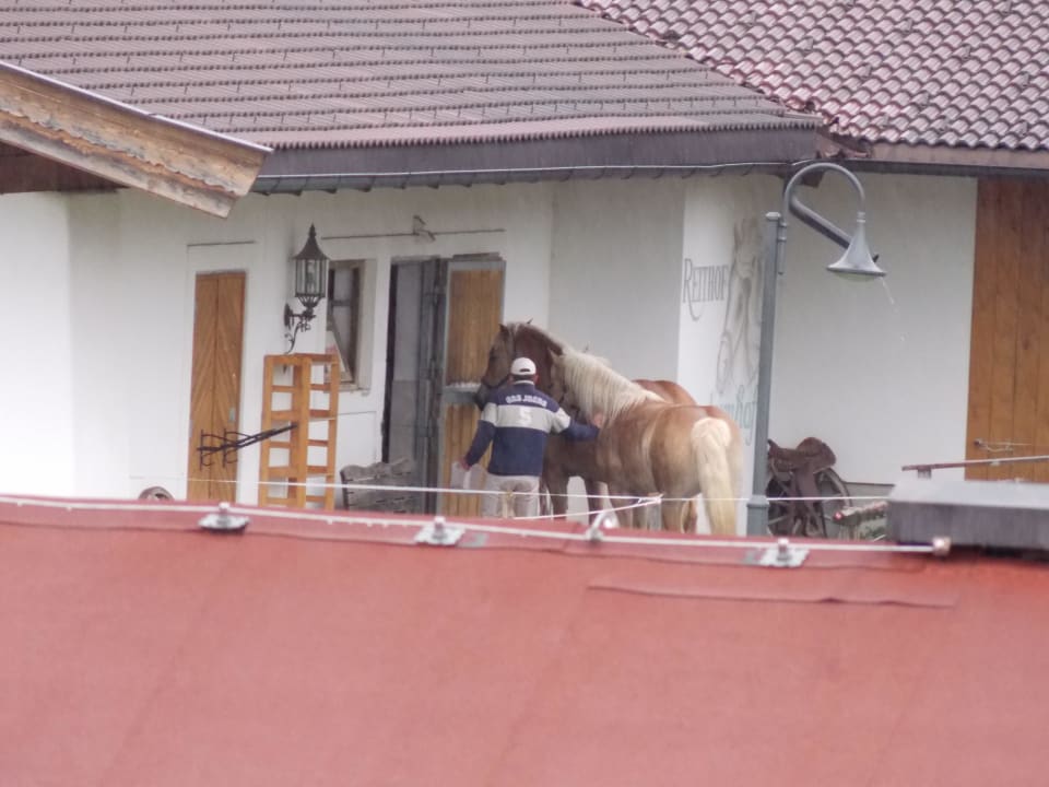 Reitstall am Peternhof Wohlfühlresort Peternhof