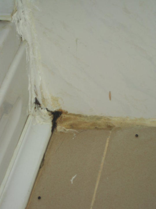 Dusche (Schimmel) Club Hotel Pineta