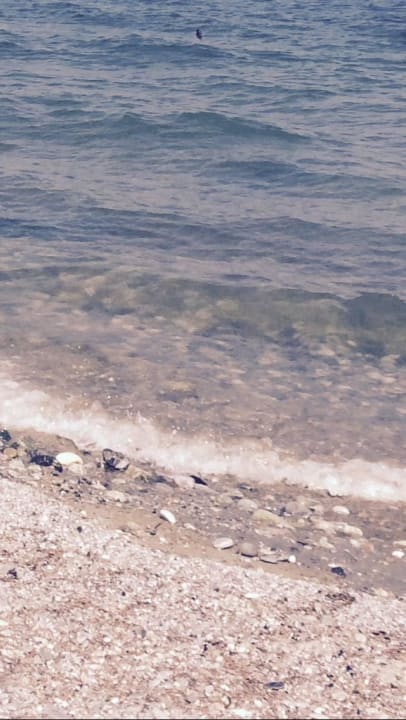 Poseidon Palace Strand  alltoura Club Hotel Poseidon Palace