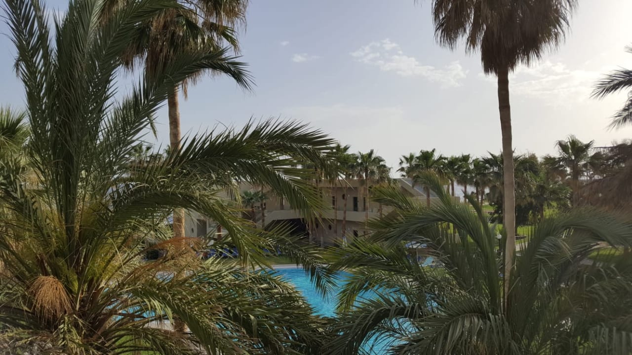 Ausblick Calimera Sirens Beach