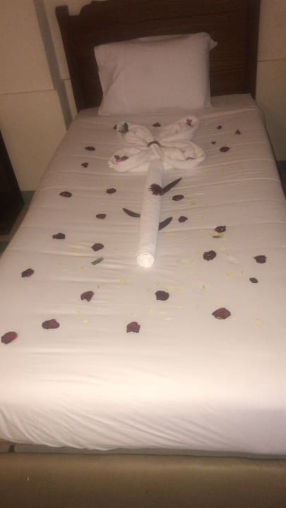 Zimmer Regina Resort and Aqua Park Hurghada