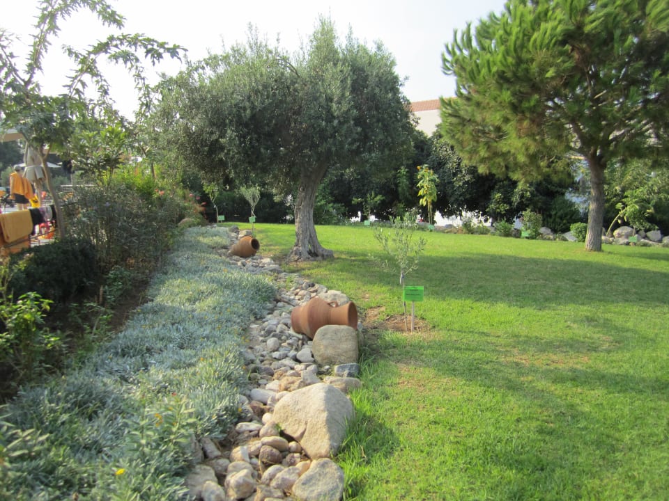 Gartenanlage Atlantica Marmari Palace