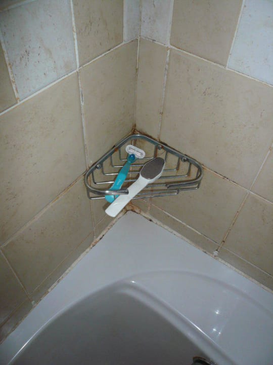 Zimmer 2047 Malikia Resort Abu Dabbab