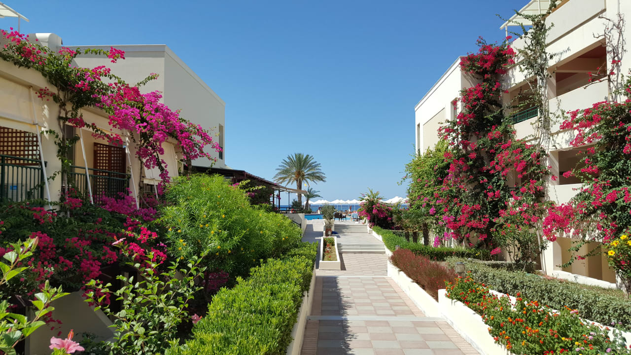 Gartenanlage Hydramis Palace Beach Resort