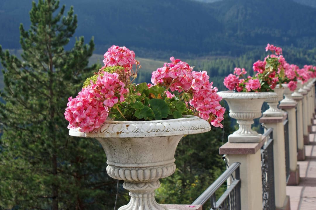 Terrasse Hotel Lagorai