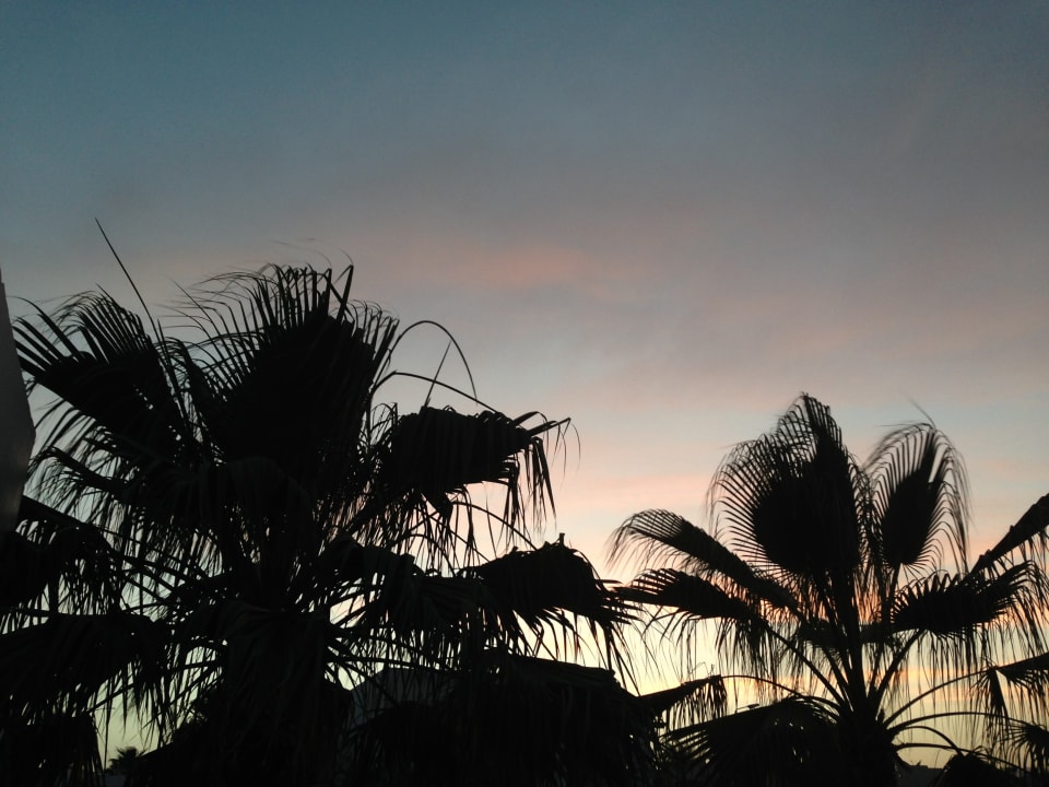 Sonstiges Amphoras Blu