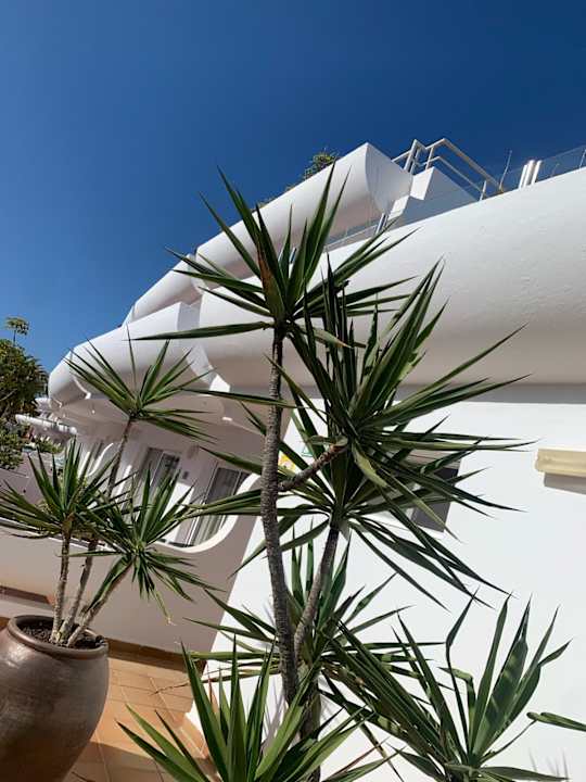 Außenansicht allsun App.-Hotel Barlovento