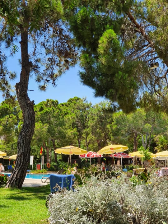 Gartenanlage Asteria Collection Side