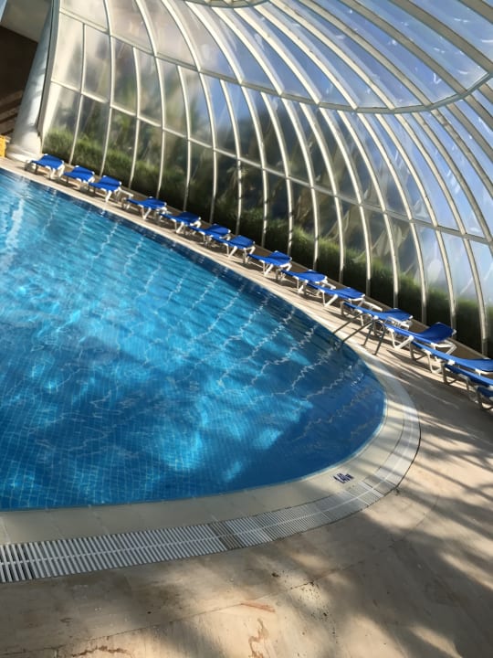 Pool Starlight Resort Hotel