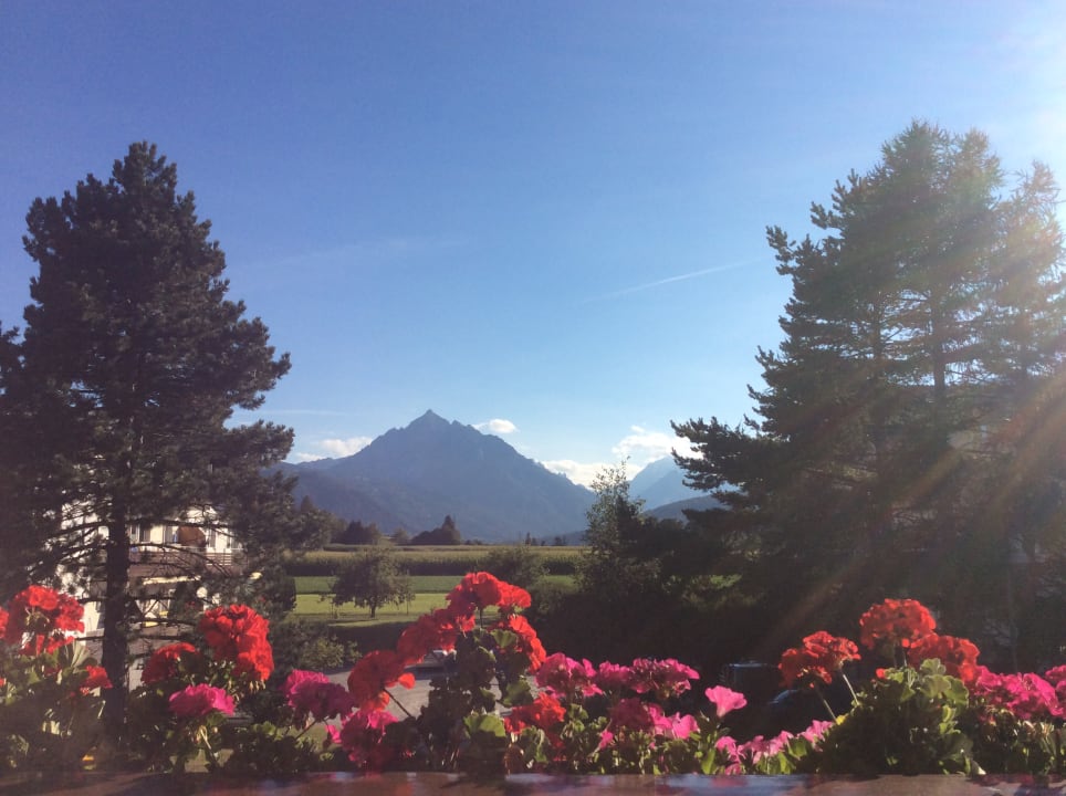 Ausblick Haus Angelika - bed & breakfast - Innsbruck/Igls