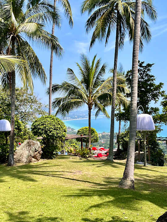 Ausblick Hotel The Jungle Club