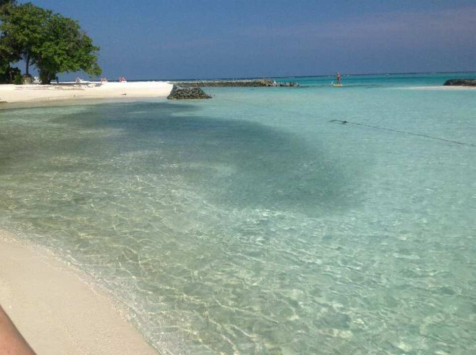 Fischschwarm Summer Island Maldives
