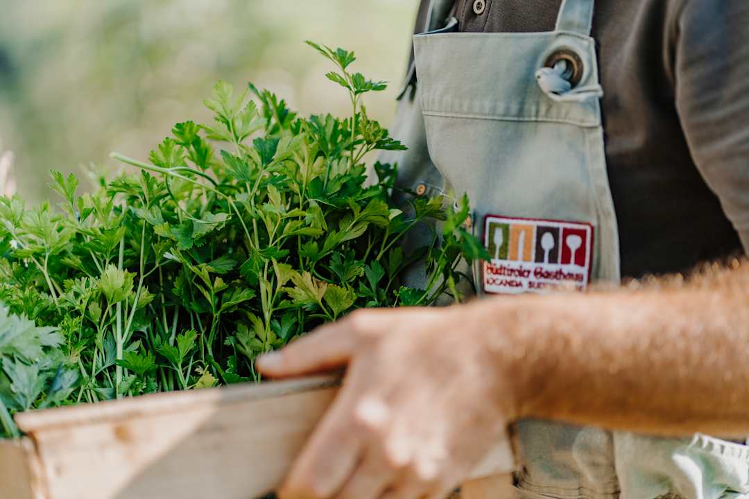 Gartenanlage Hotel & Gasthof zum Hirschen