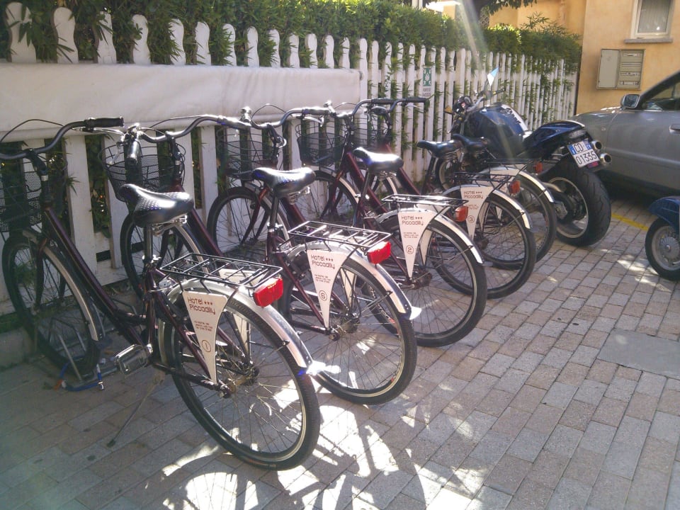 Hoteleigene Fahrräder (kostenlos) Hotel Piccadilly