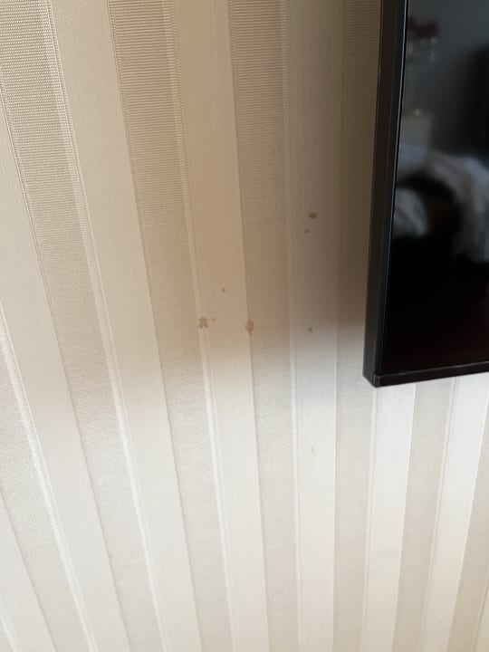 Zimmer The Plaza Bodrum