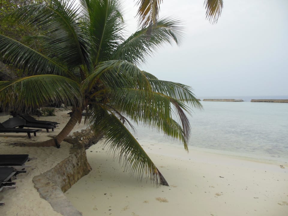 Bei den Strandbungalows Ellaidhoo Maldives by Cinnamon