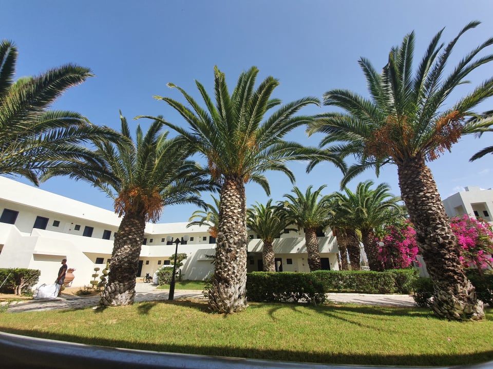 Gartenanlage Smy Kos Beach & Splash