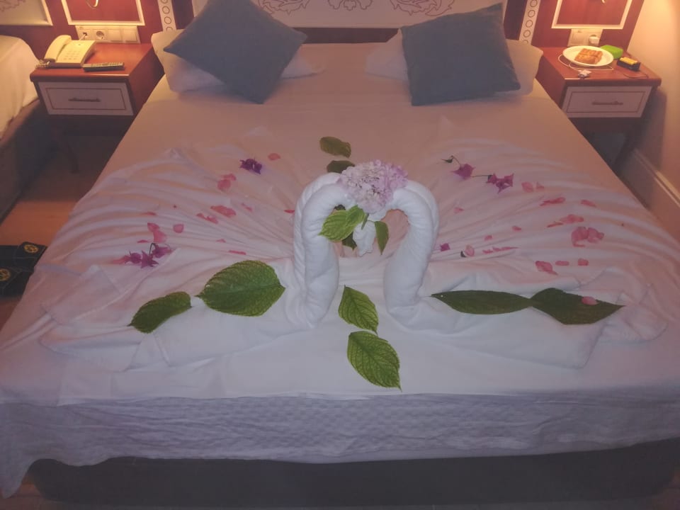 Zimmer Crystal Paraiso Aqua Collection