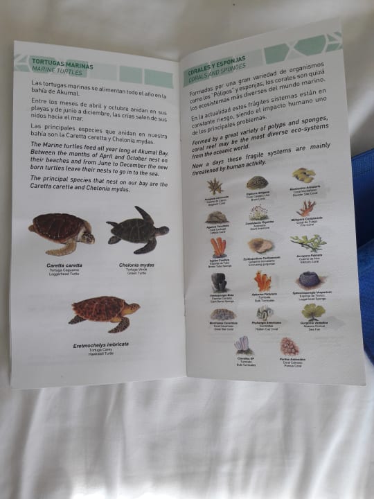 Zimmer Akumal Bay Beach & Wellness Resort