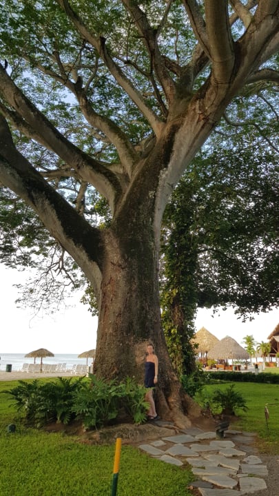 Gartenanlage Grand Decameron Panama, A Trademark All Inclusive Resort