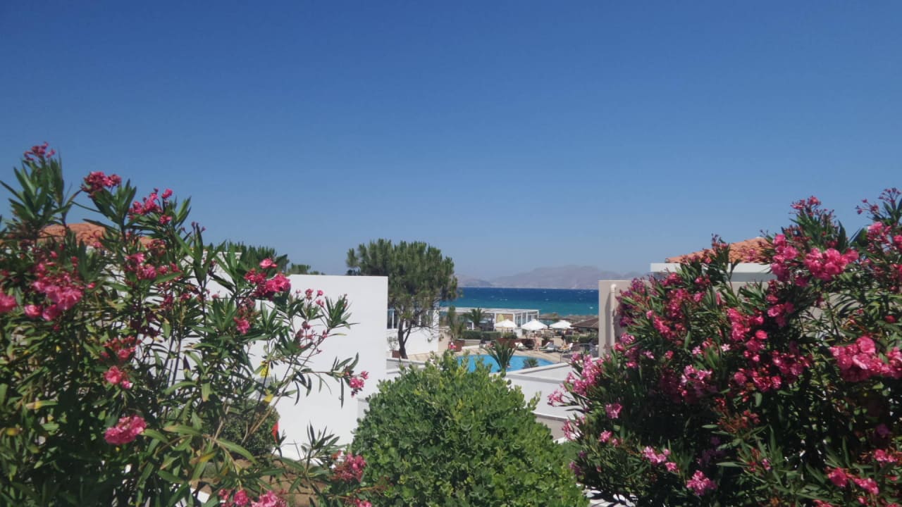 Ausblick aufs Meer Atlantica Marmari Palace