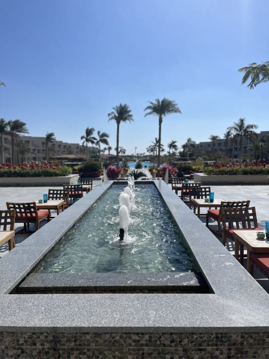 Gastro Steigenberger Resort Ras Soma