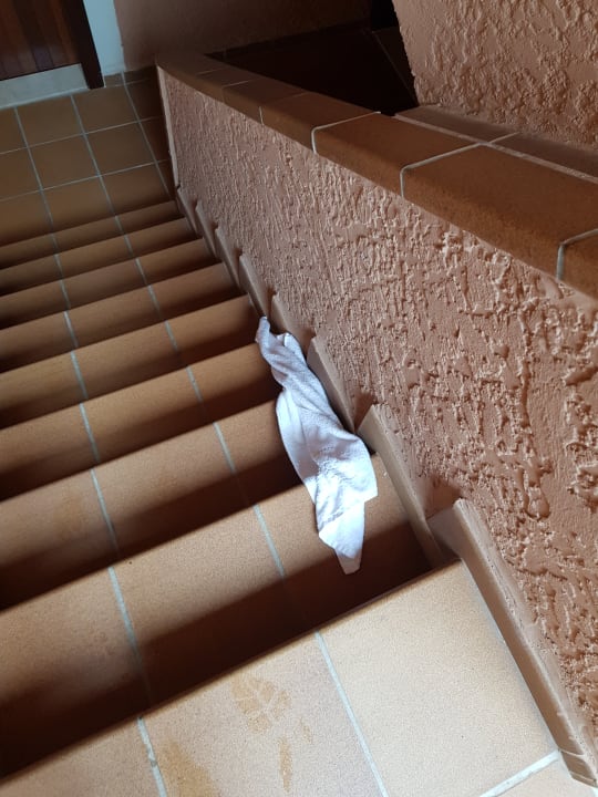 Außenansicht Aparthotel Ciudad Laurel