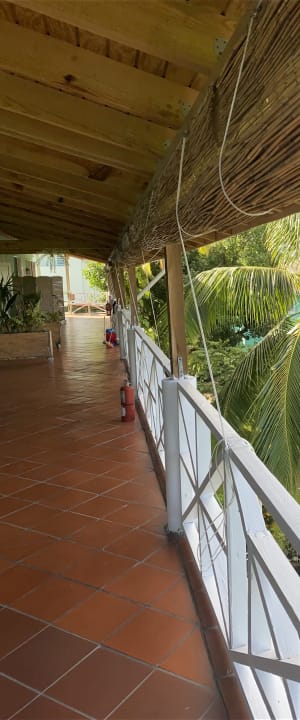 Zimmer Tamarind Tree Hotel