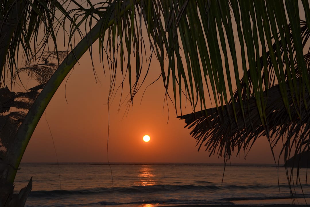 Ohne Worte Bayview - the beach resort