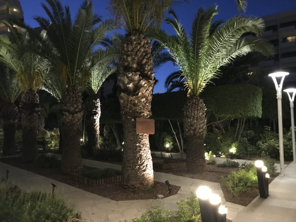 Garten The GrandResort By Leonardo Hotels