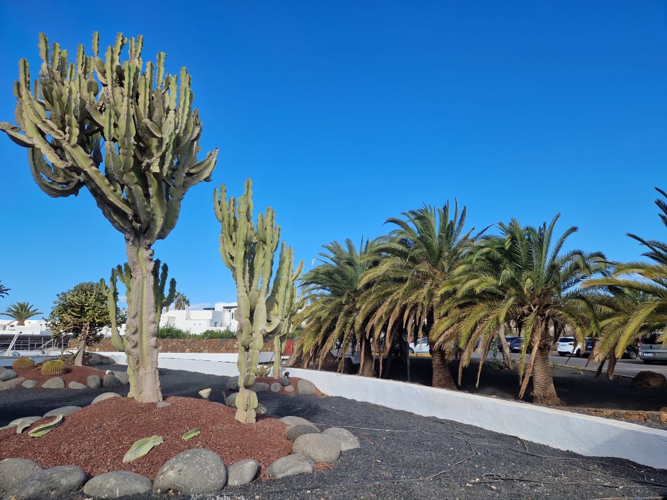 Außenansicht Hipotels La Geria