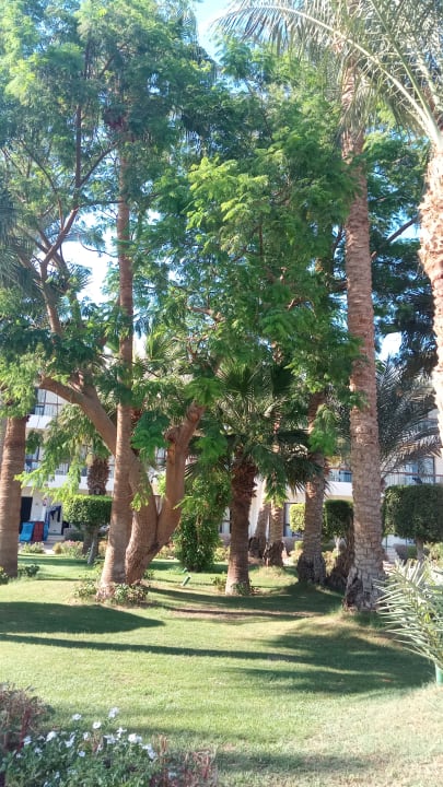 Gartenanlage Regina Resort and Aqua Park Hurghada