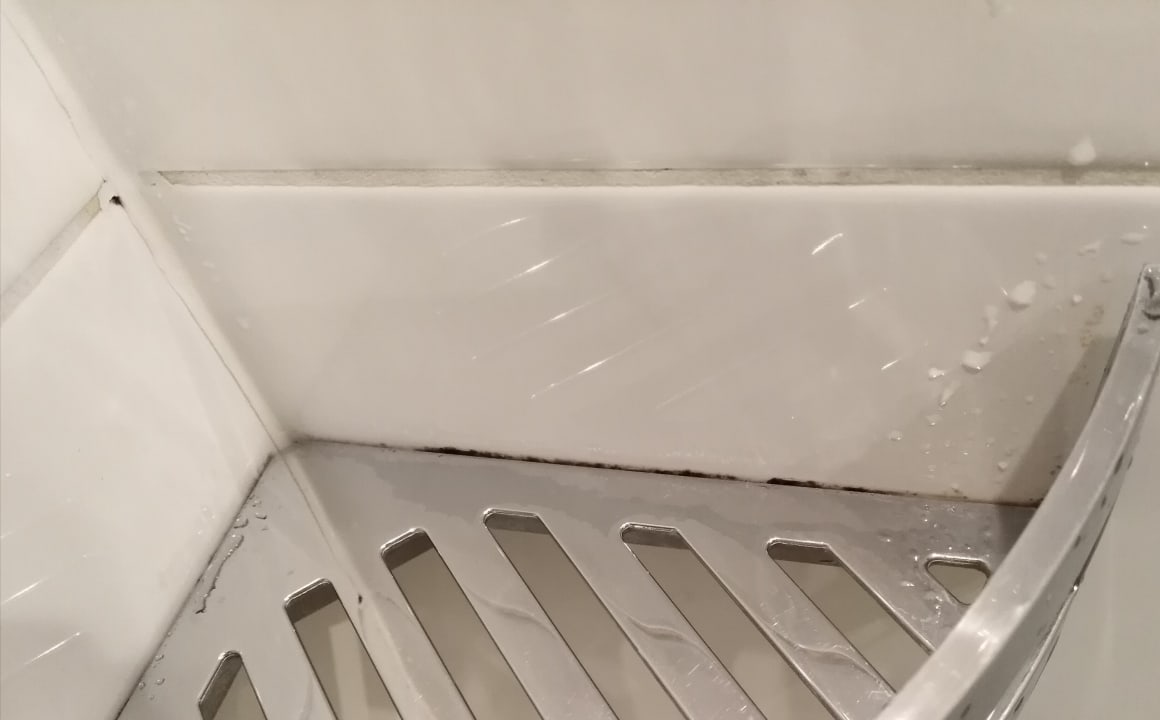 Mein Abstelleck Zuhause sieht auch nach 5 Jahren top aus.  AKTIVHOTEL Weisser Hirsch