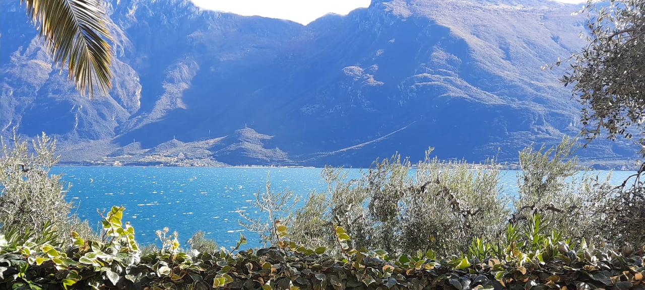 Ausblick Hotel Mercedes