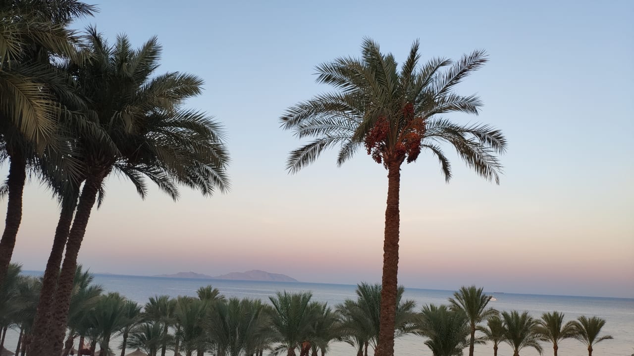 Ausblick The Grand Hotel Sharm El Sheikh